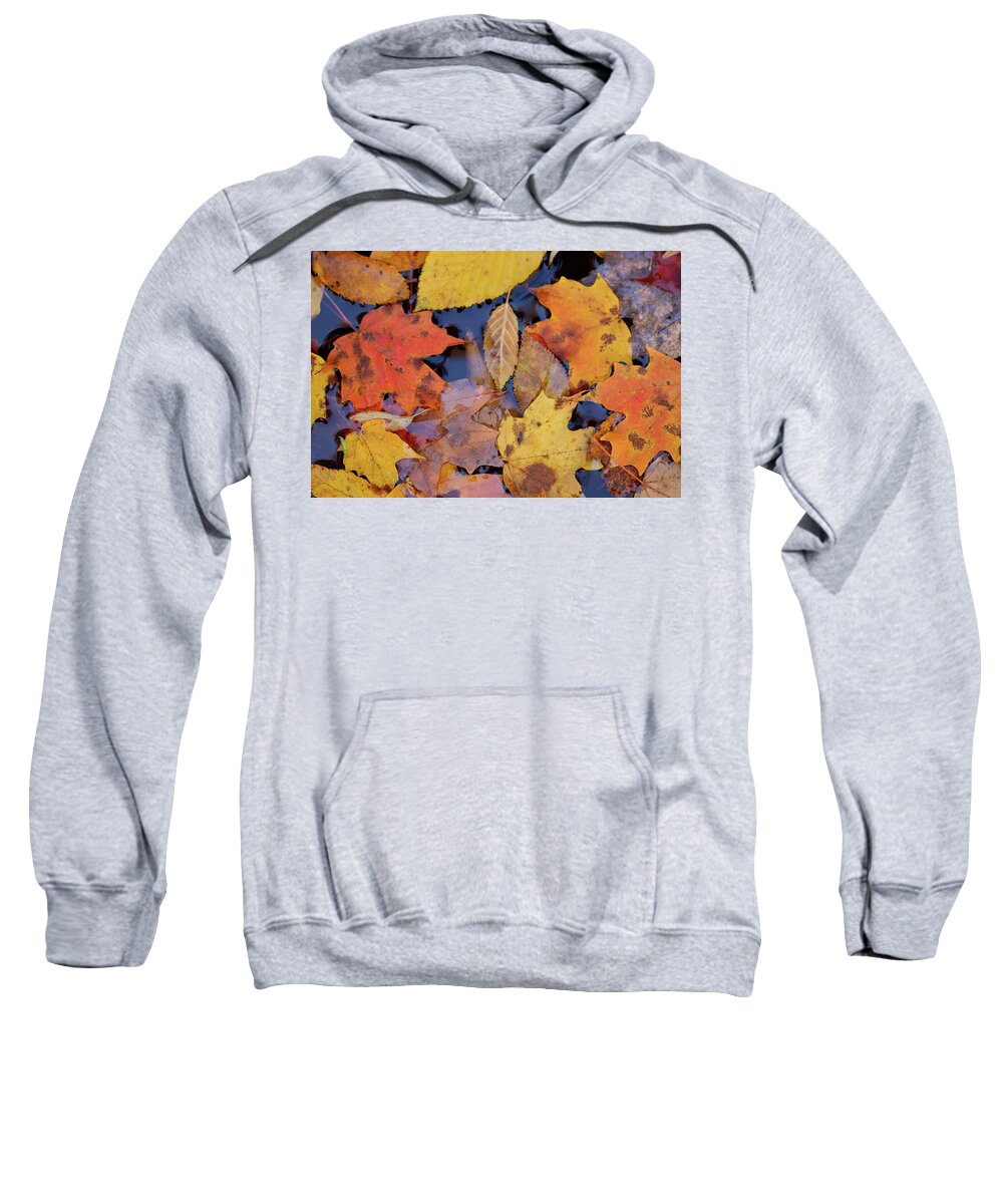 Leaves Sweatshirt featuring the photograph Fallen Leaves by Doug McPherson