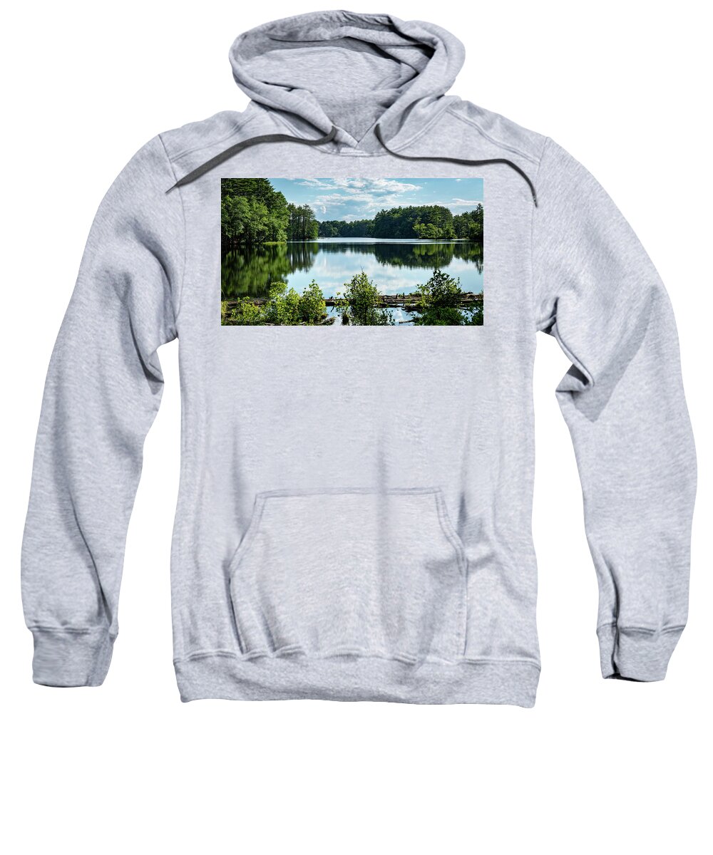 Landscape Sweatshirt featuring the photograph Field Pond by David Lee