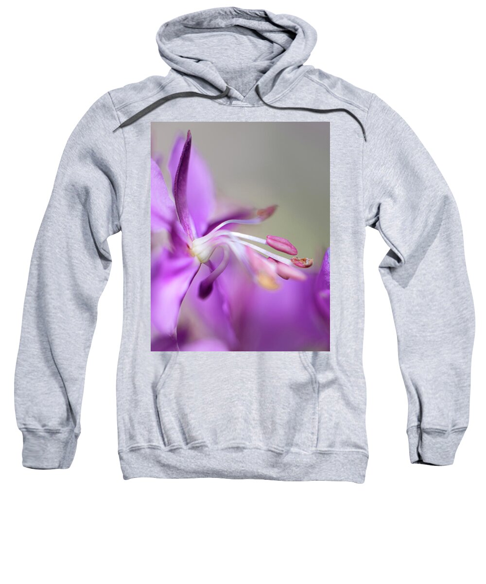 Fireweed Sweatshirt featuring the photograph Fireweed Close Up by Karen Rispin