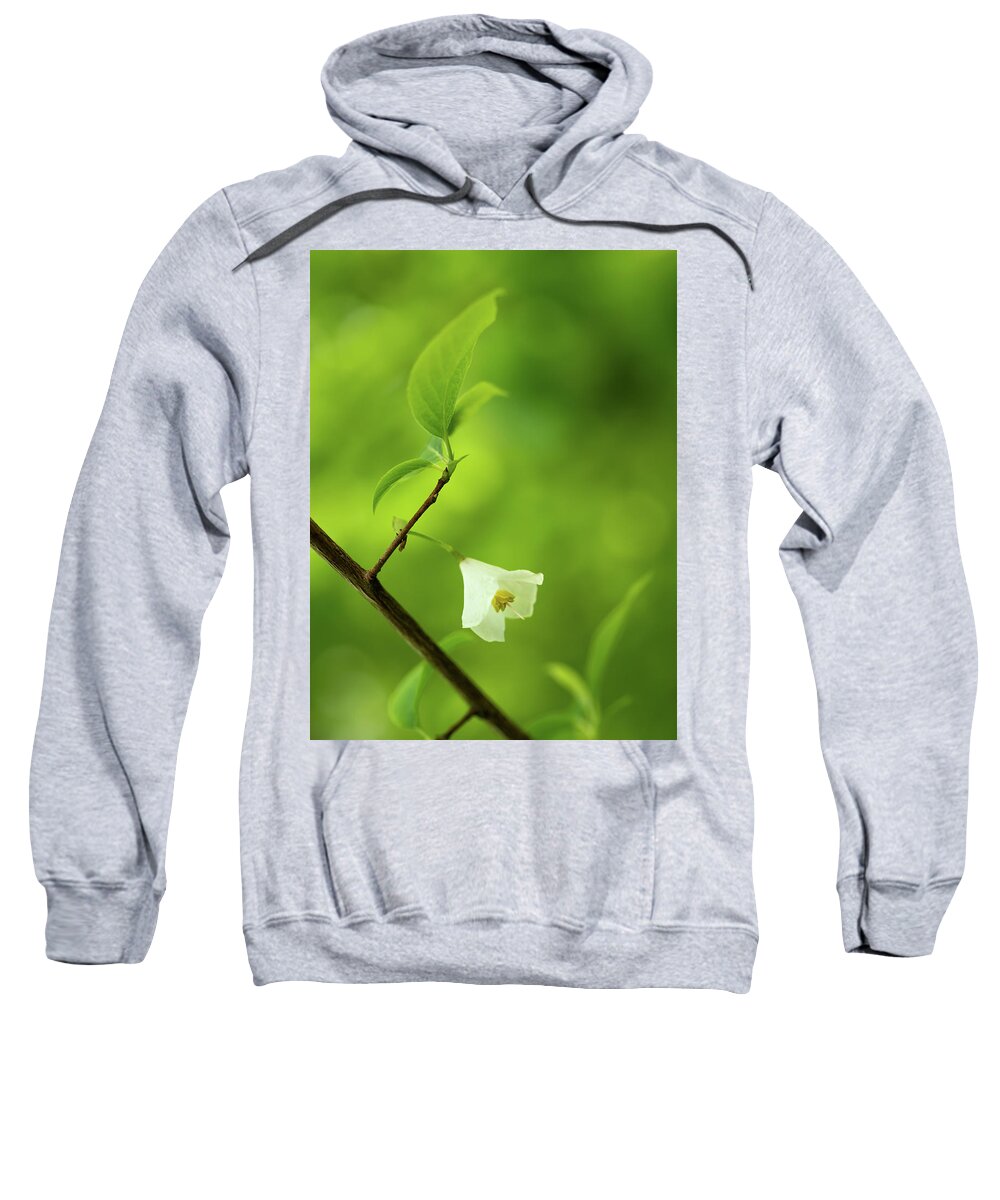 Fine Art Sweatshirt featuring the photograph Flower of the snowdrop bush by Average Images