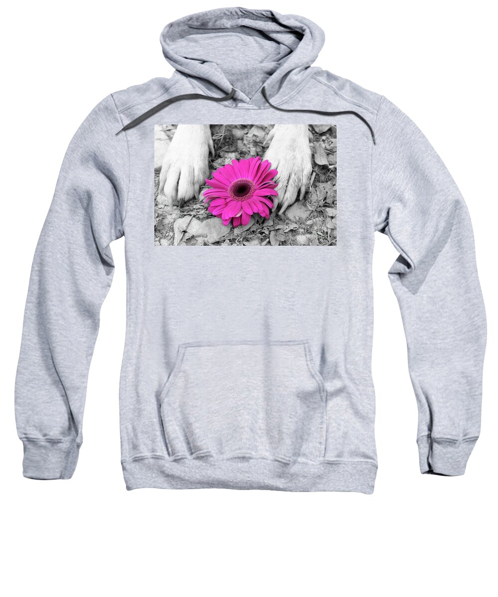 Dogs Sweatshirt featuring the photograph Flower PAWER-Pink by Renee Spade Photography
