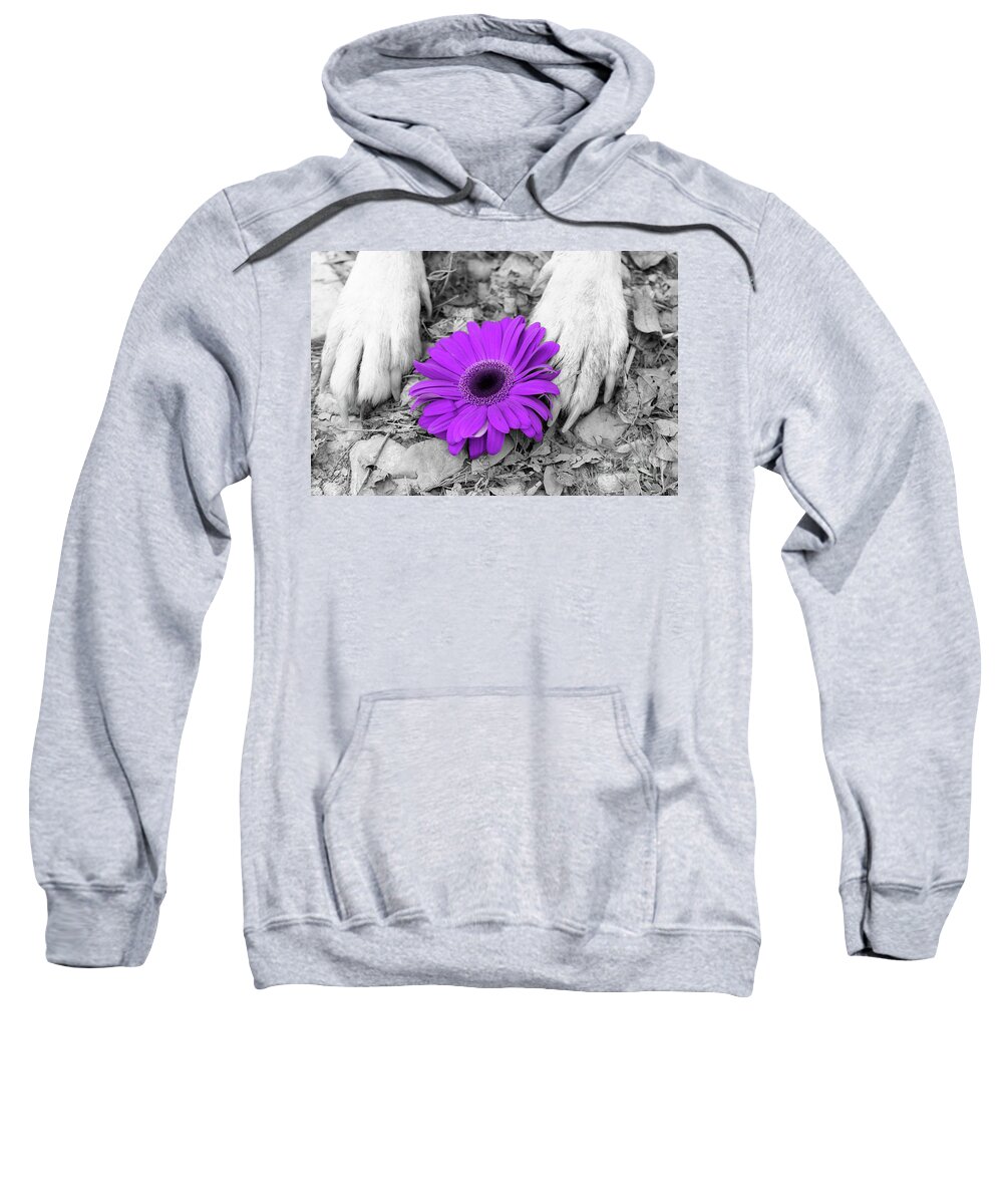 Dogs Sweatshirt featuring the photograph Flower PAWER-purple by Renee Spade Photography