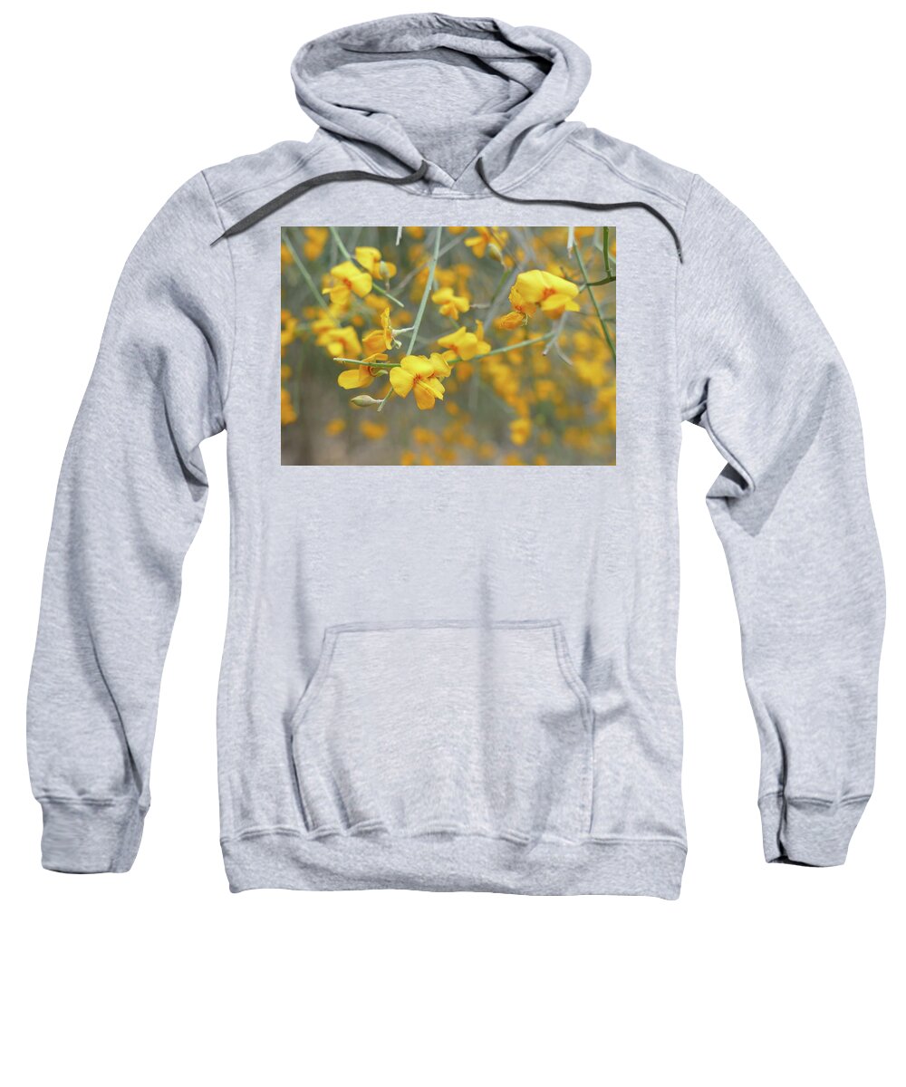 Flowers Sweatshirt featuring the photograph Flower Shower by Maryse Jansen