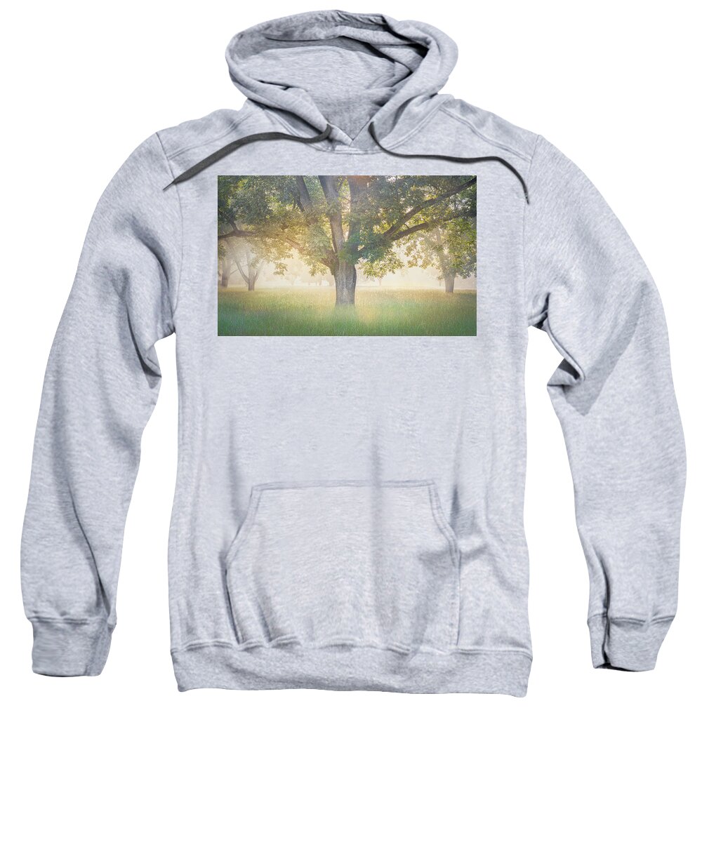 Tree Sweatshirt featuring the photograph Foggy Sunrise Through The Trees by Jordan Hill