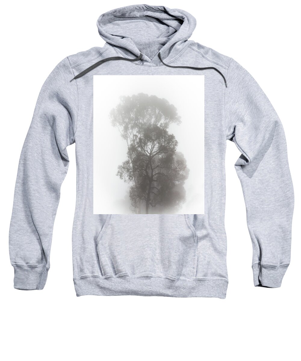 Fog Sweatshirt featuring the photograph Foggy Tree by Alison Frank