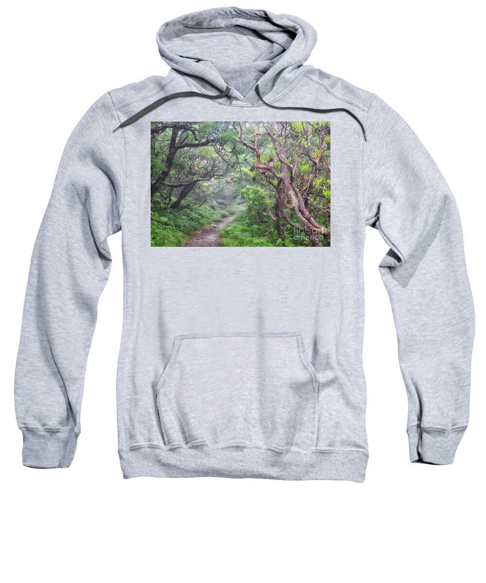 Craggy Gardens Sweatshirt featuring the photograph Forest Fantasy by Blaine Owens