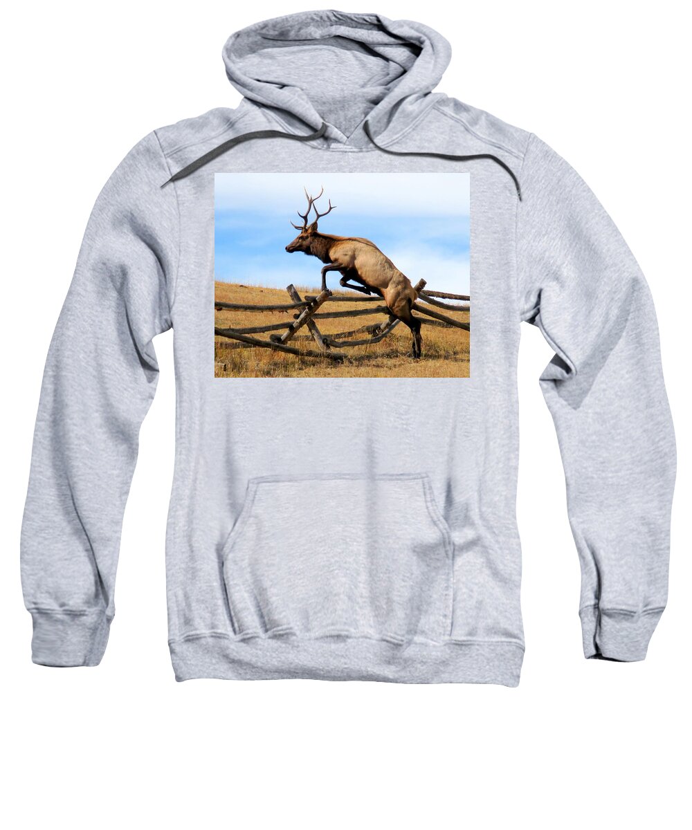 Elk Sweatshirt featuring the photograph Forever Free by Karen Shackles
