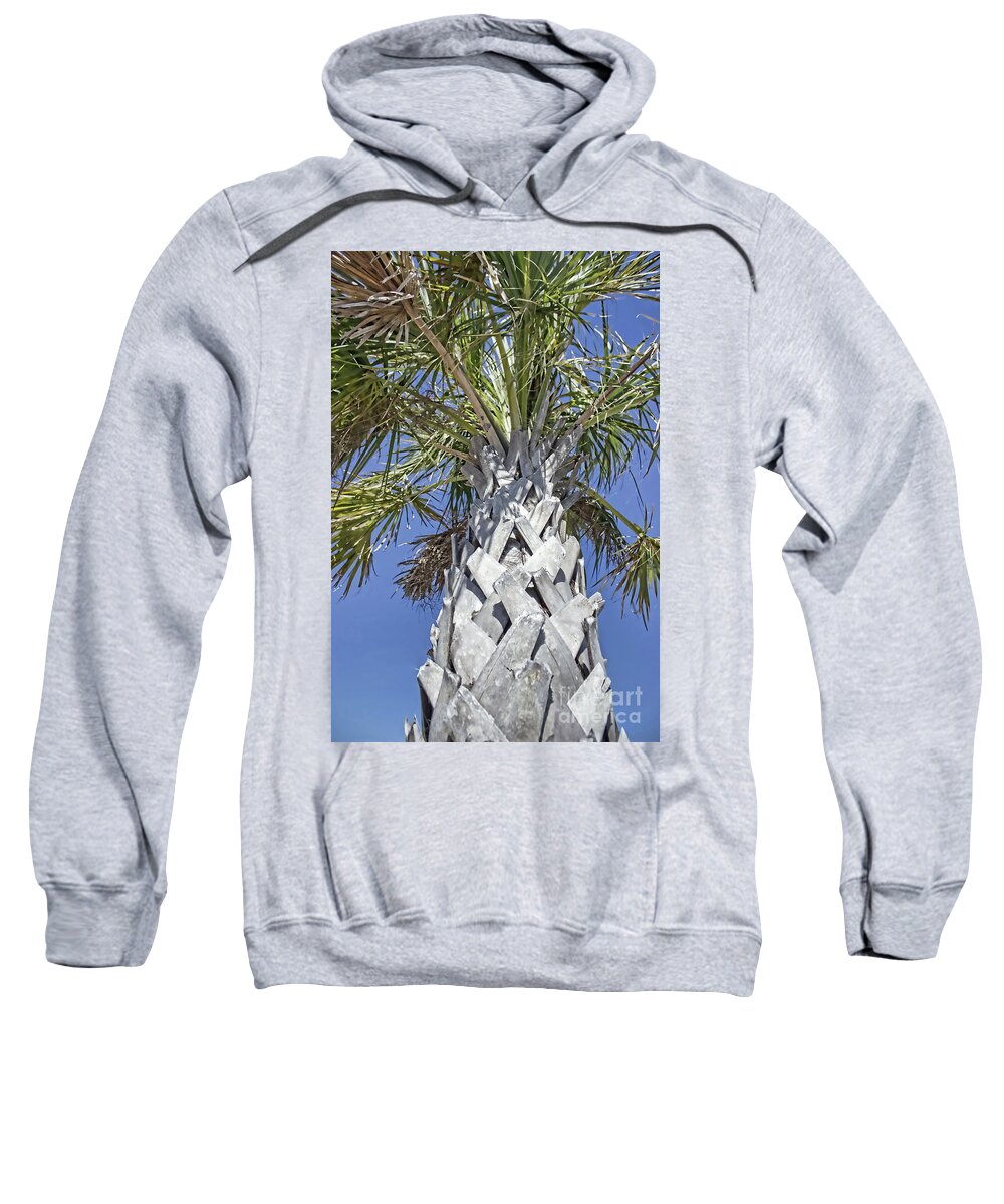 Fortified Foundation Sweatshirt featuring the photograph Fortified Foundation Palm by Roberta Byram