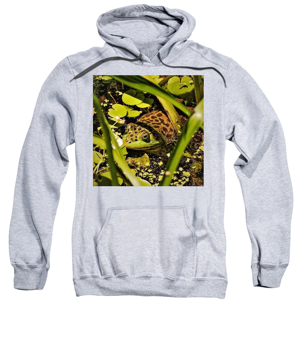 Frog Water Pond Green Leaves Eye Reptile Sweatshirt featuring the photograph Frog by John Linnemeyer