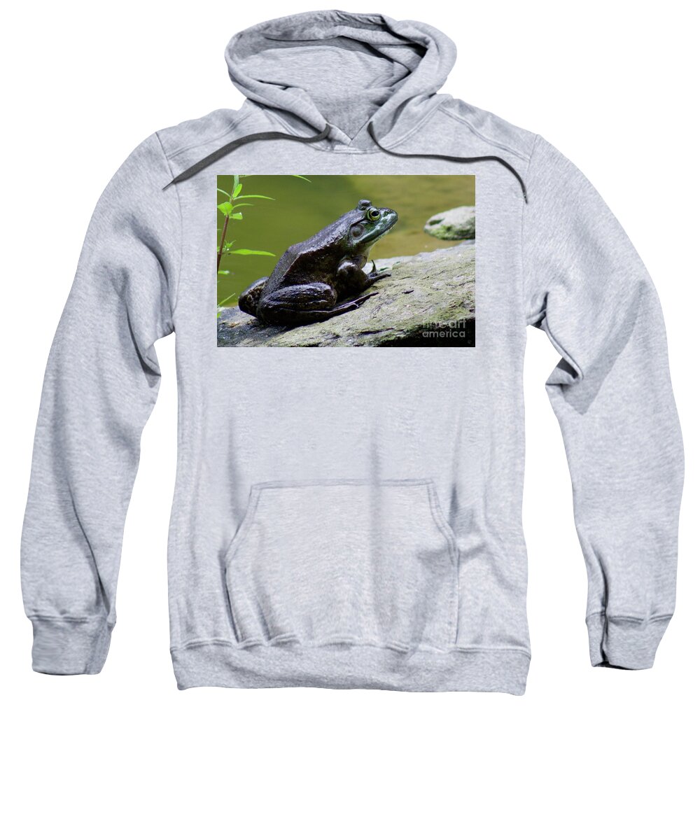 The Farm At Walnut Creek Sweatshirt featuring the photograph Frog on a rock by Yvonne M Smith