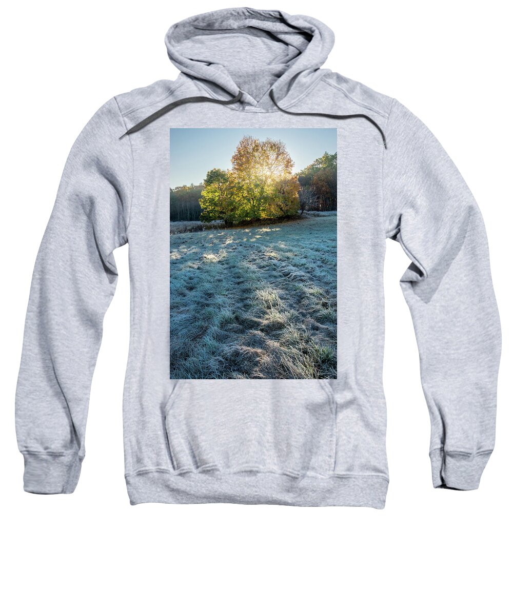 Landscape Sweatshirt featuring the photograph Frosty Glow 3 by Dimitry Papkov