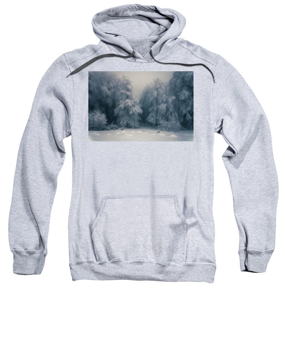 Mountain Sweatshirt featuring the photograph Frozen Forest by Evgeni Dinev