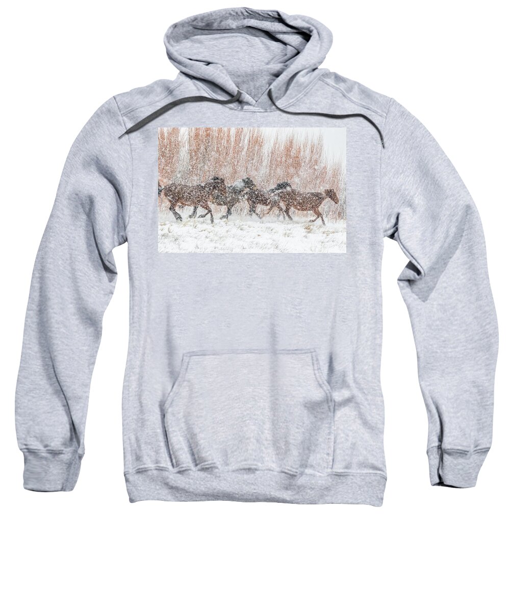 Nevada Sweatshirt featuring the photograph Galloping in a Heavy Snowfall by Marc Crumpler