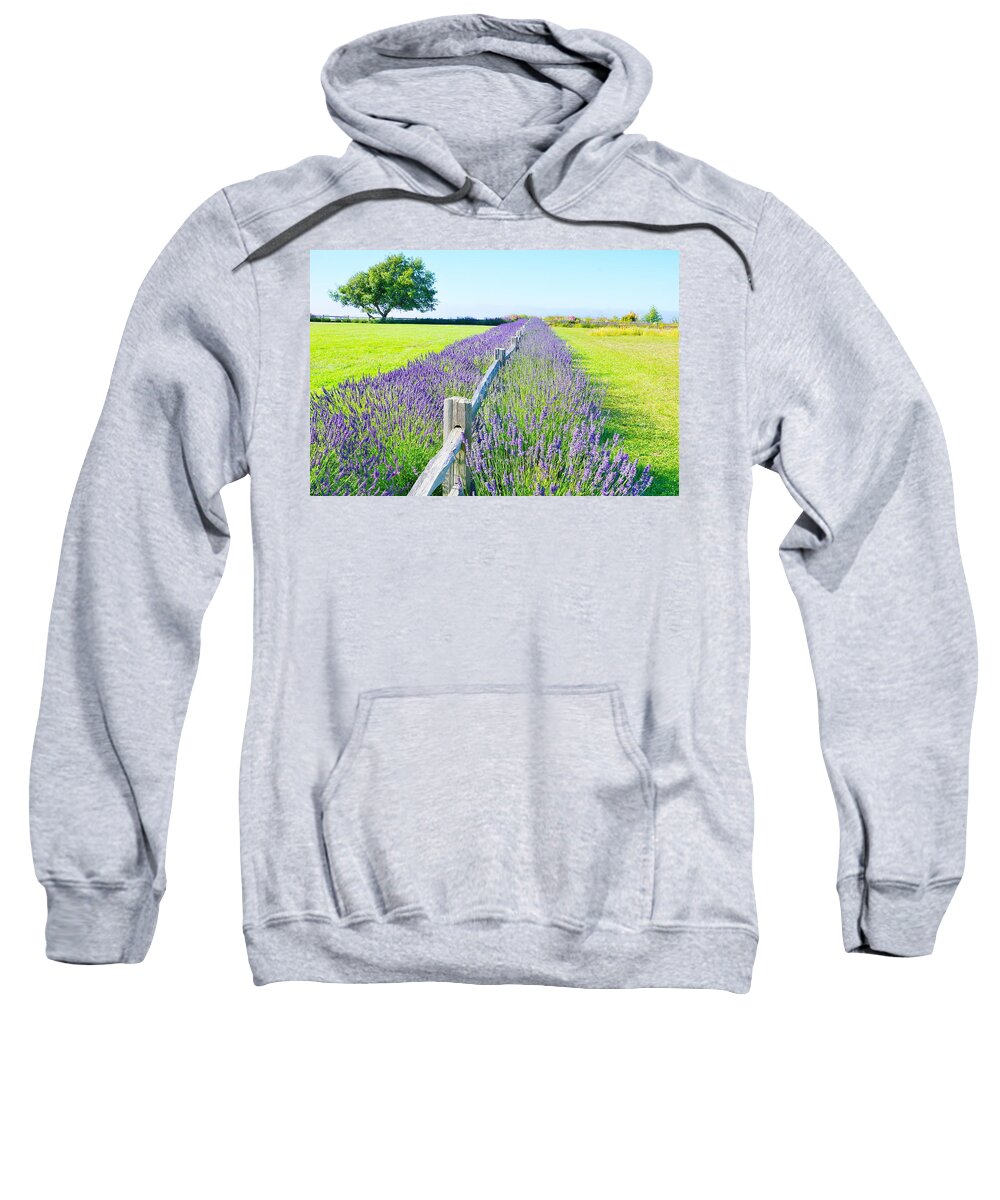 Landscape Sweatshirt featuring the photograph George Washington Lavender Gardens by Bill TALICH