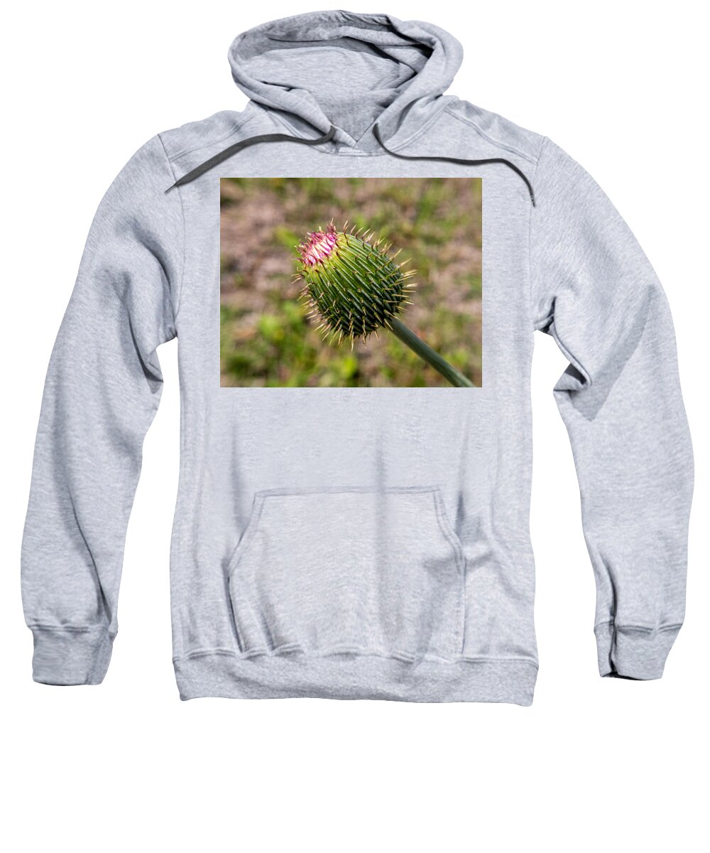 Weed Sweatshirt featuring the photograph Getting Ready by Ivars Vilums