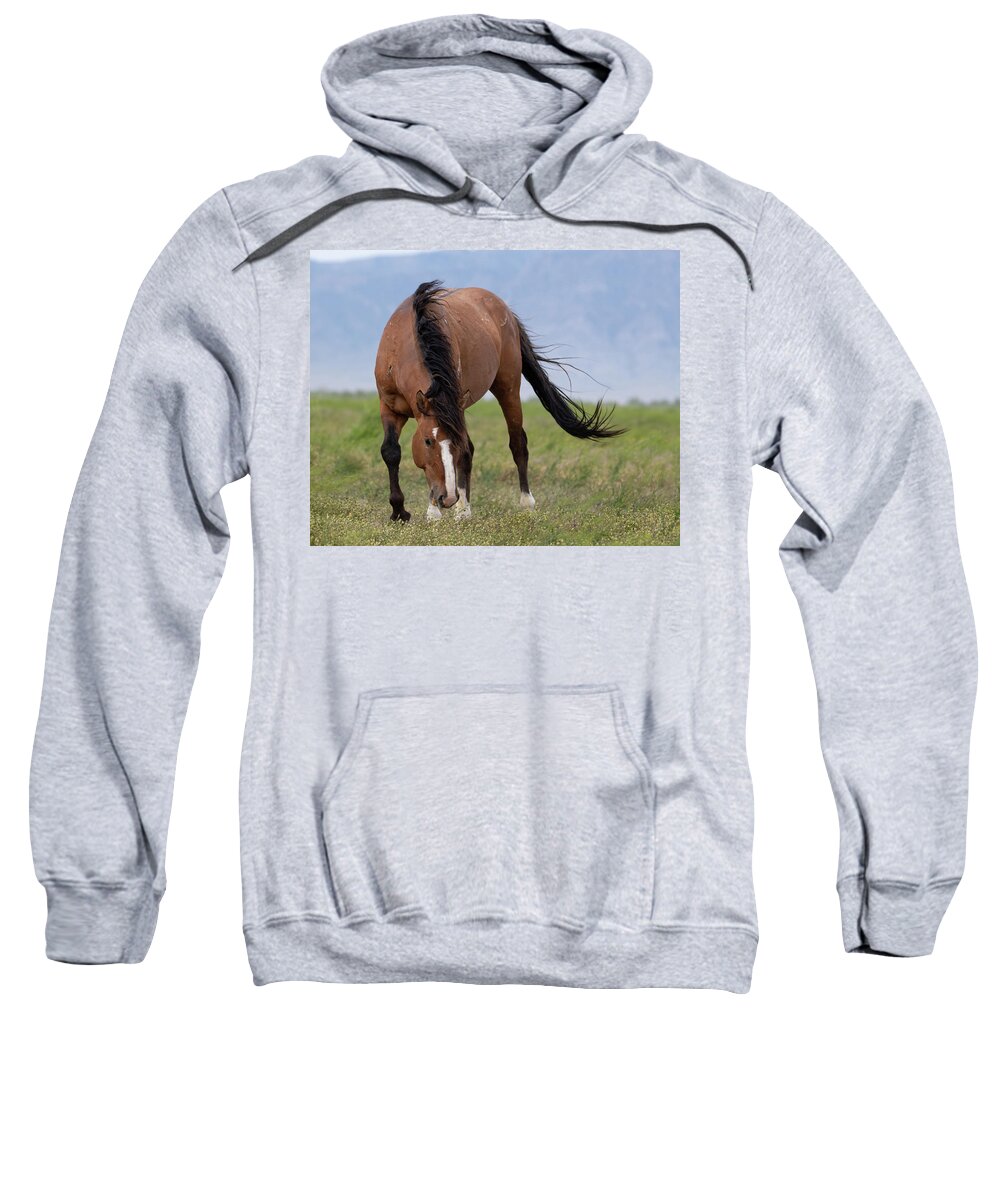 Wild Horses Sweatshirt featuring the photograph Ghost by Mary Hone