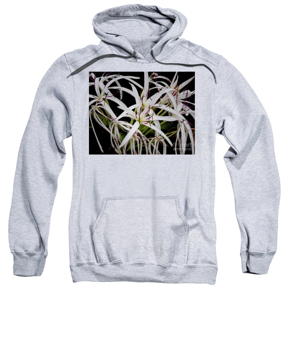 Flowers Sweatshirt featuring the photograph Giant White Spider Lilies by Neala McCarten