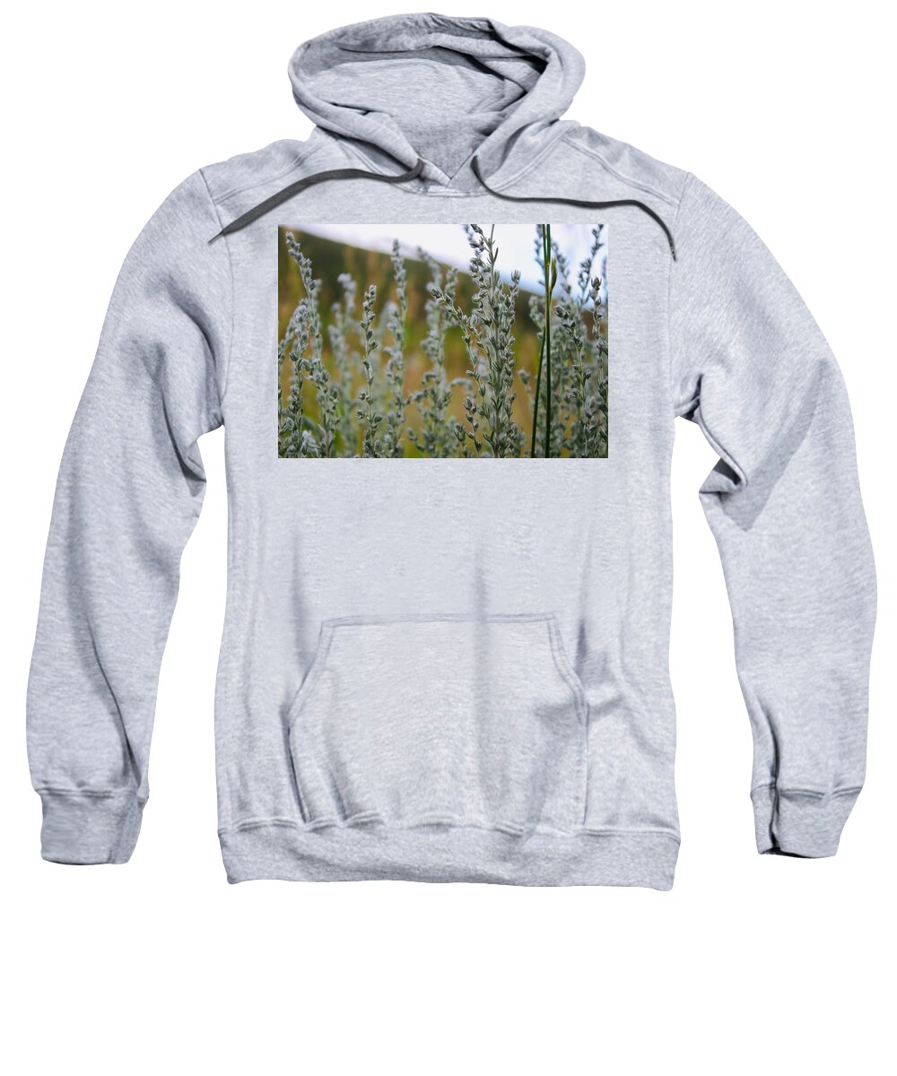 Plants Sweatshirt featuring the photograph Glimmering Greens by Yvonne M Smith