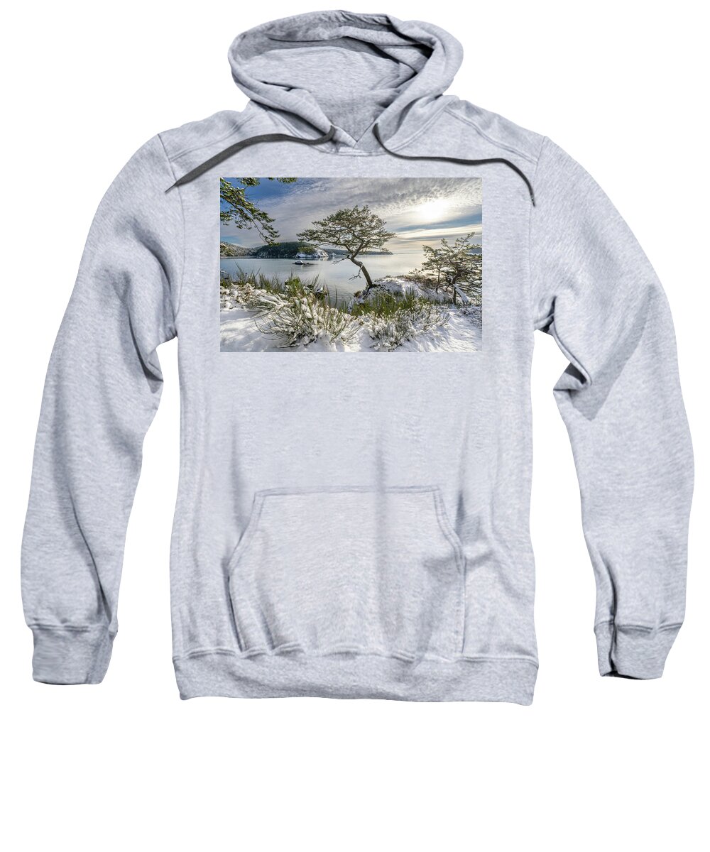 Snow Sweatshirt featuring the photograph Gnarly Tree in Snow by Gary Skiff