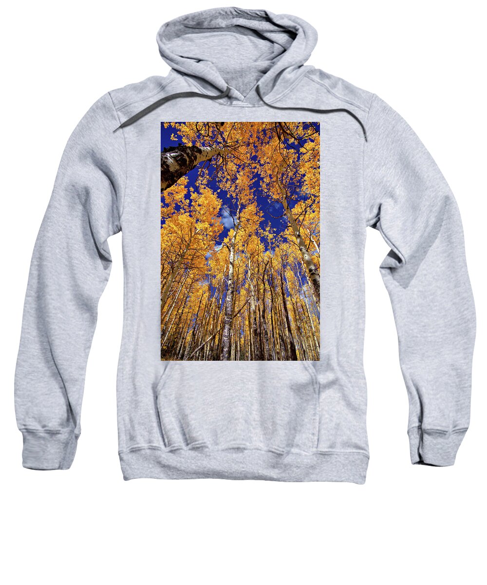Fall Colors Sweatshirt featuring the photograph Golden Aspens by Bob Falcone