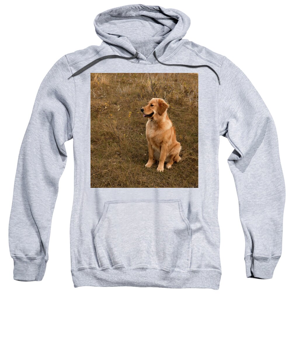 Dog Sweatshirt featuring the photograph Golden Retriever Smiling by Karen Rispin