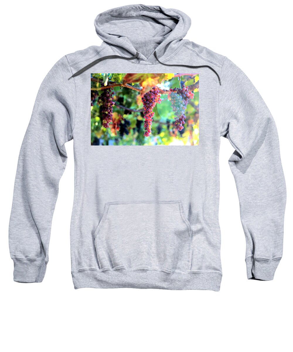 Grapes Sweatshirt featuring the photograph Grapes on the Vine by Vivian Krug Cotton