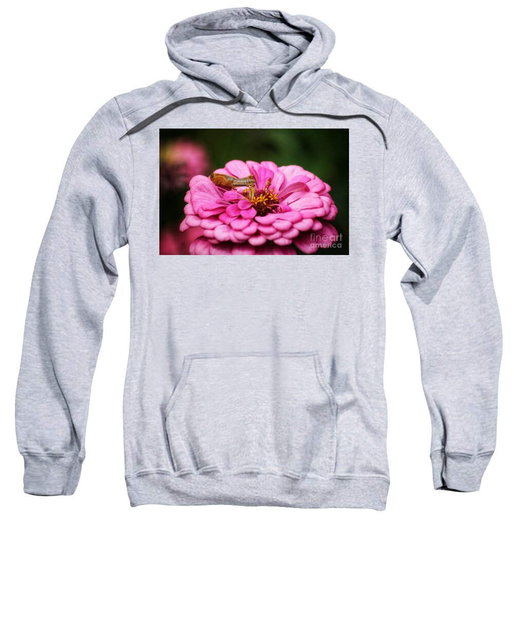 Zinnia Elegans Sweatshirt featuring the photograph Grasshopper and The Zinnia by LaDonna McCray