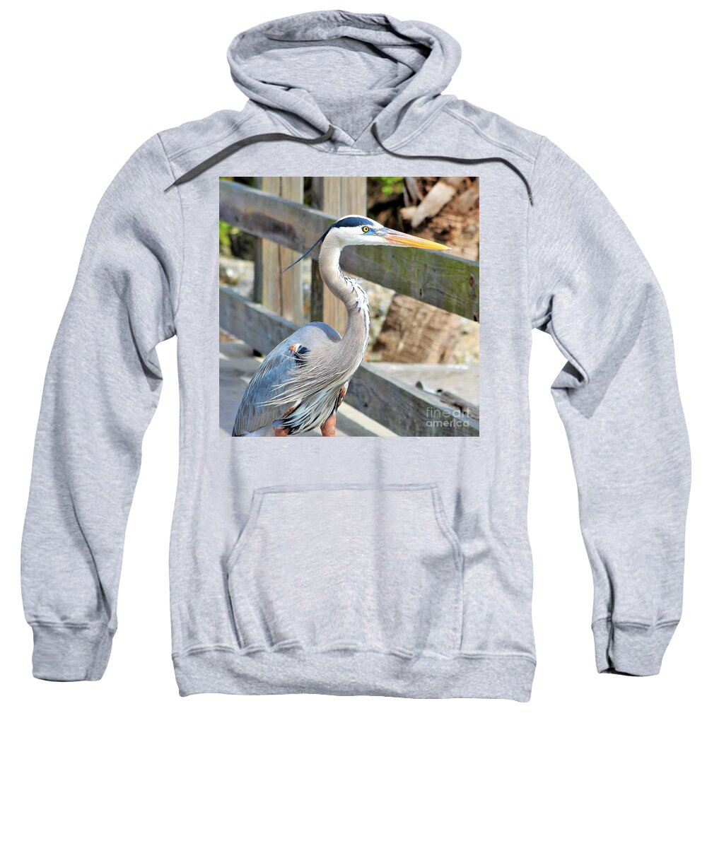 Heron Sweatshirt featuring the photograph Great Blue Heron down at the pier looking out yonder by Joanne Carey