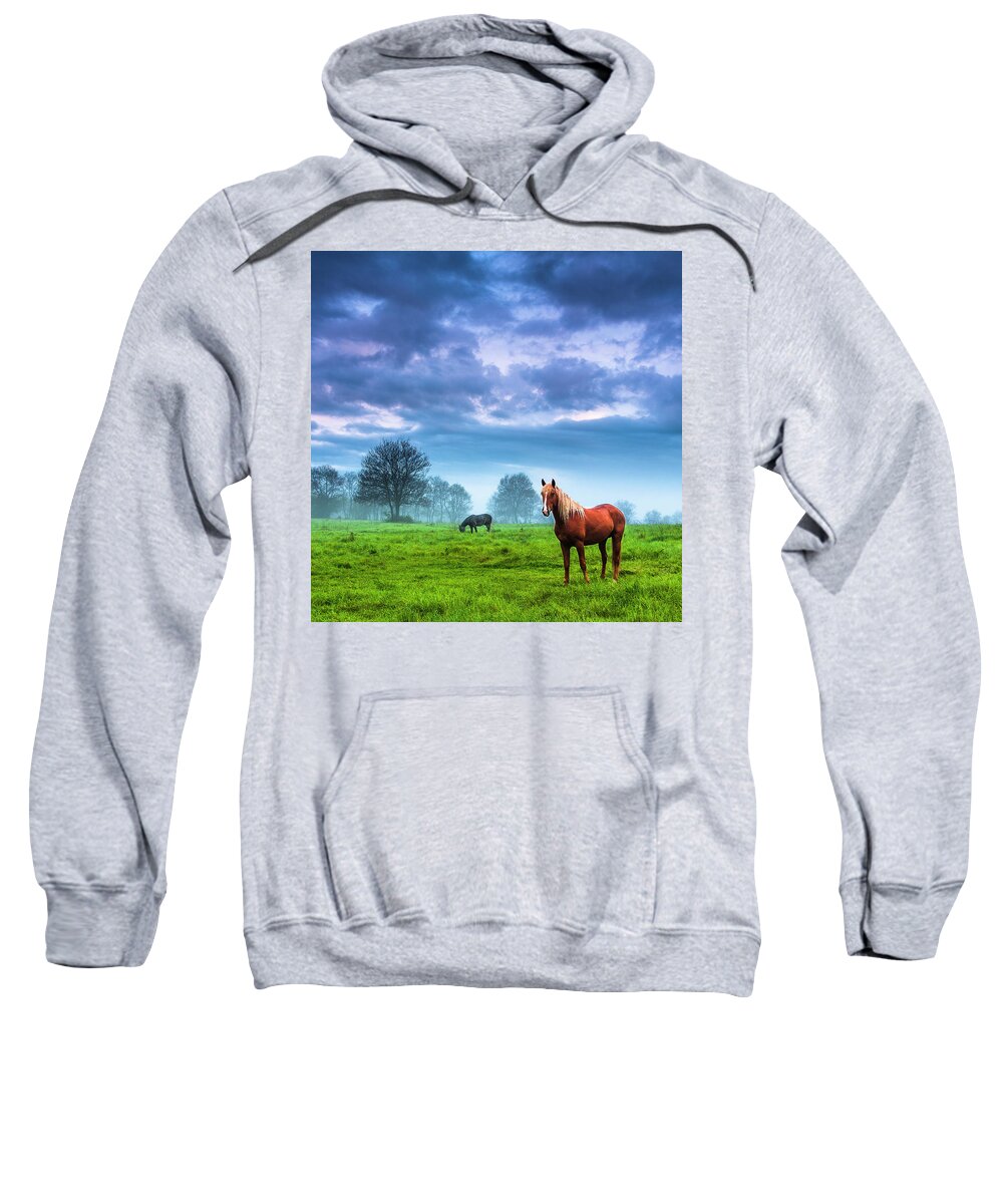 Fog Sweatshirt featuring the photograph Green Morn by Evgeni Dinev