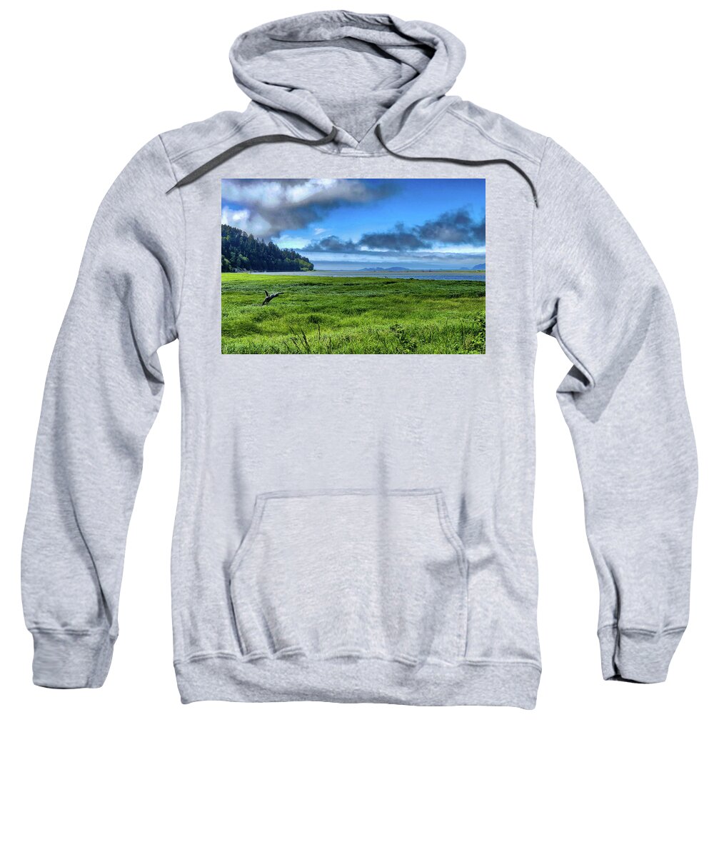 Landscape Sweatshirt featuring the digital art Green Reed Sea by Chriss Pagani