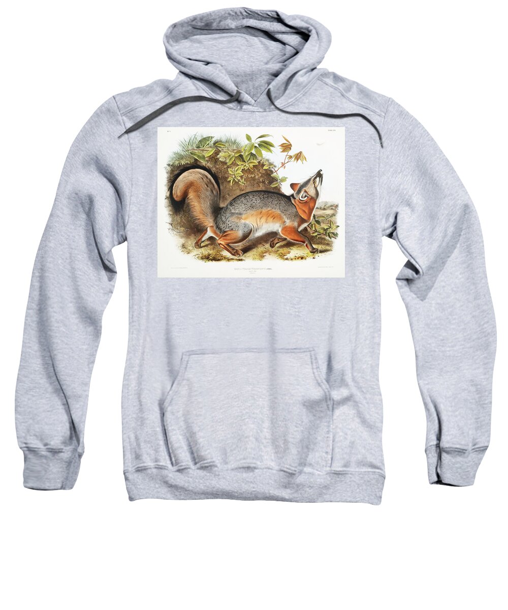 America Sweatshirt featuring the mixed media Grey Fox. John Woodhouse Audubon by World Art Collective