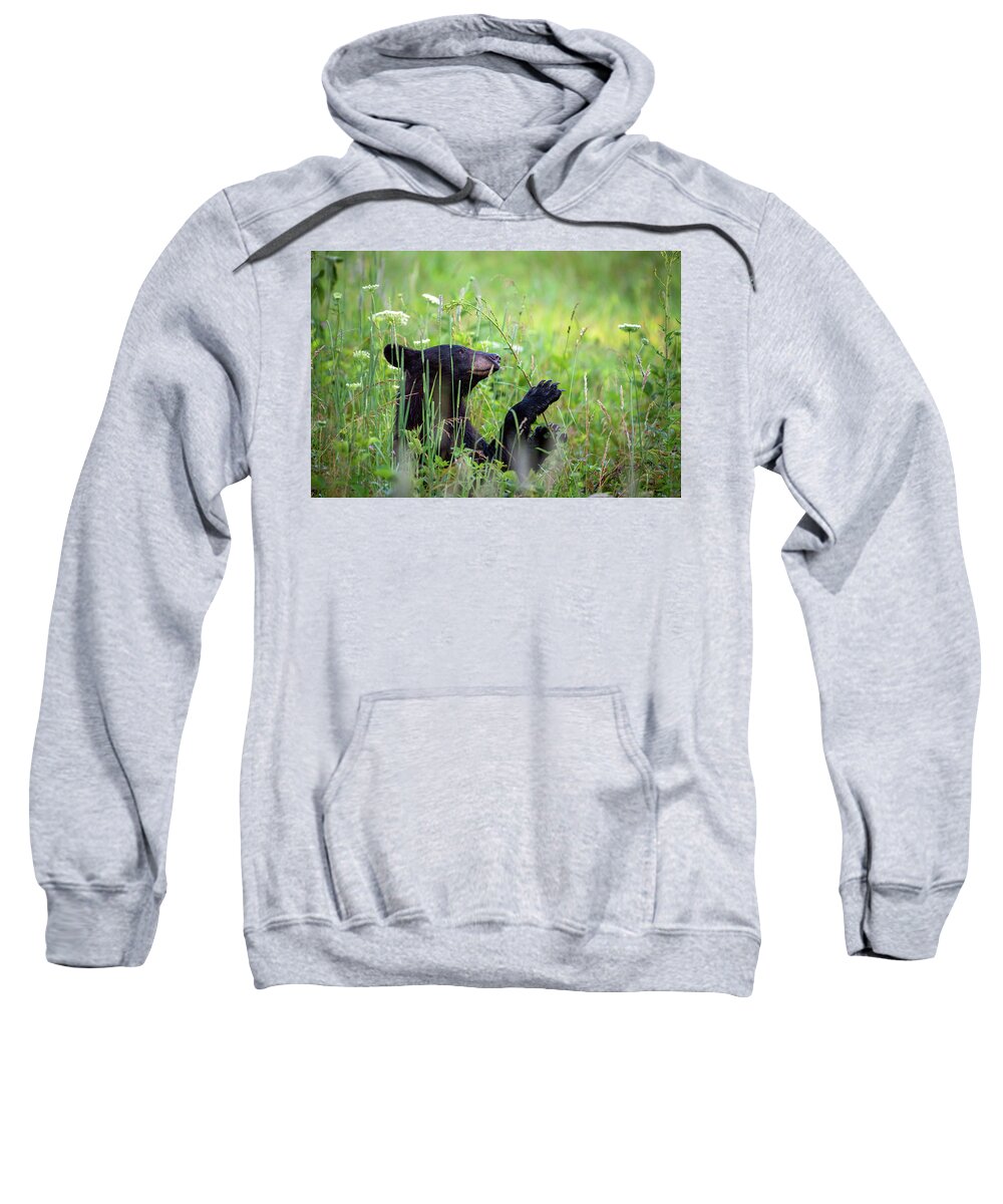 Great Smoky Mountains National Park Sweatshirt featuring the photograph Happy Black Bear by Robert J Wagner