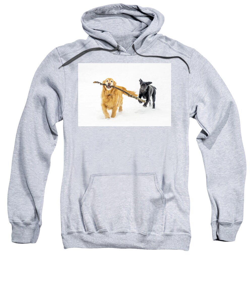 Black Labrador Retriever Sweatshirt featuring the photograph Happy Dogs in Winter by Dee Potter