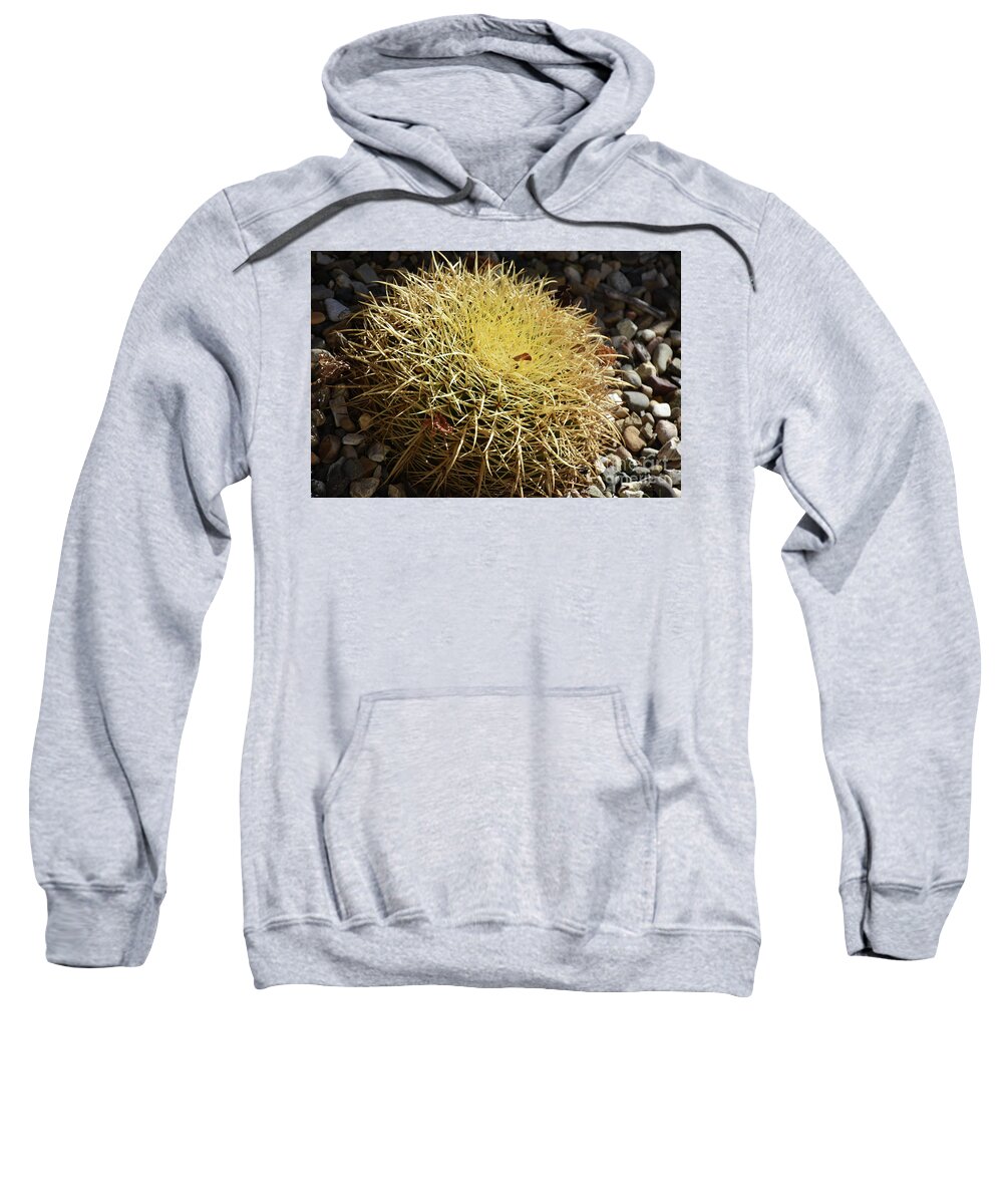 https://render.fineartamerica.com/images/rendered/default/t-shirt/22/9/images/artworkimages/medium/3/hay-stack-cactus-with-lots-of-prickly-points-dejavu-designs.jpg?targetx=0&targety=0&imagewidth=370&imageheight=246&modelwidth=370&modelheight=490