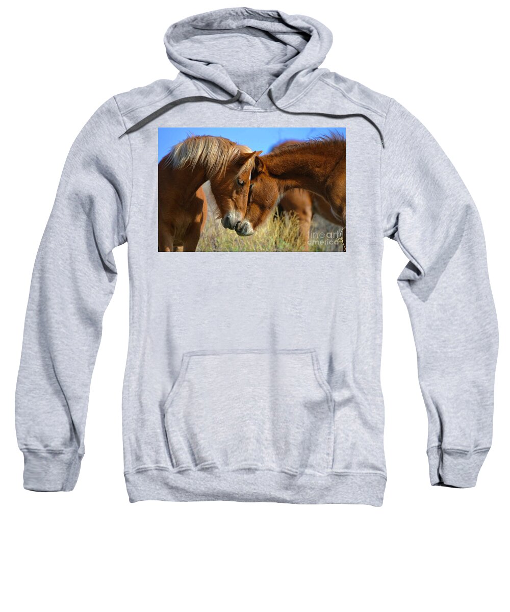 Salt River Wild Horses Sweatshirt featuring the digital art Heartwarming by Tammy Keyes