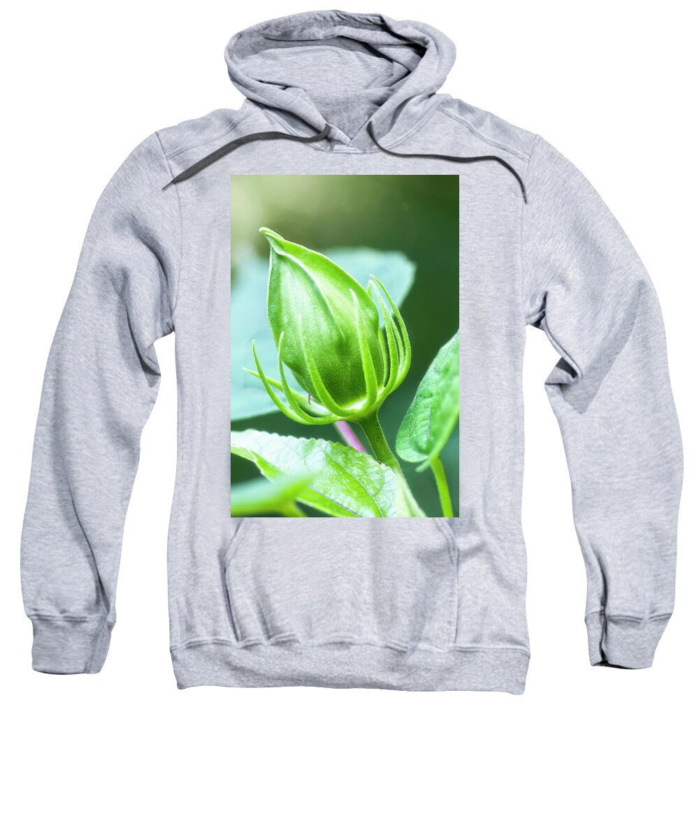 Hibiscus Bud Sweatshirt featuring the photograph Hibiscus Flower Bud in the Croatan National Forest by Bob Decker