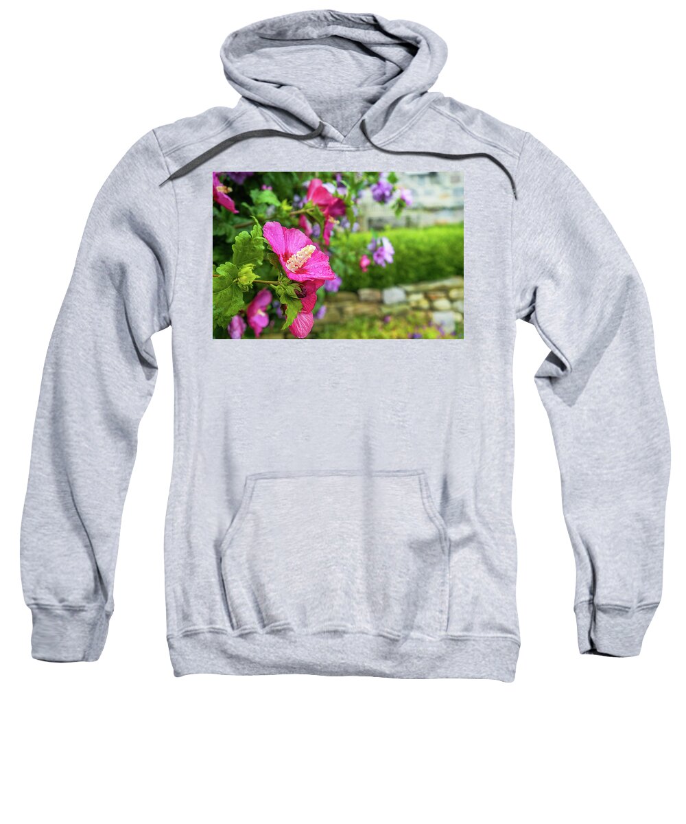Connecticut Sweatshirt featuring the photograph Hibiscus Syriacus II by Marianne Campolongo