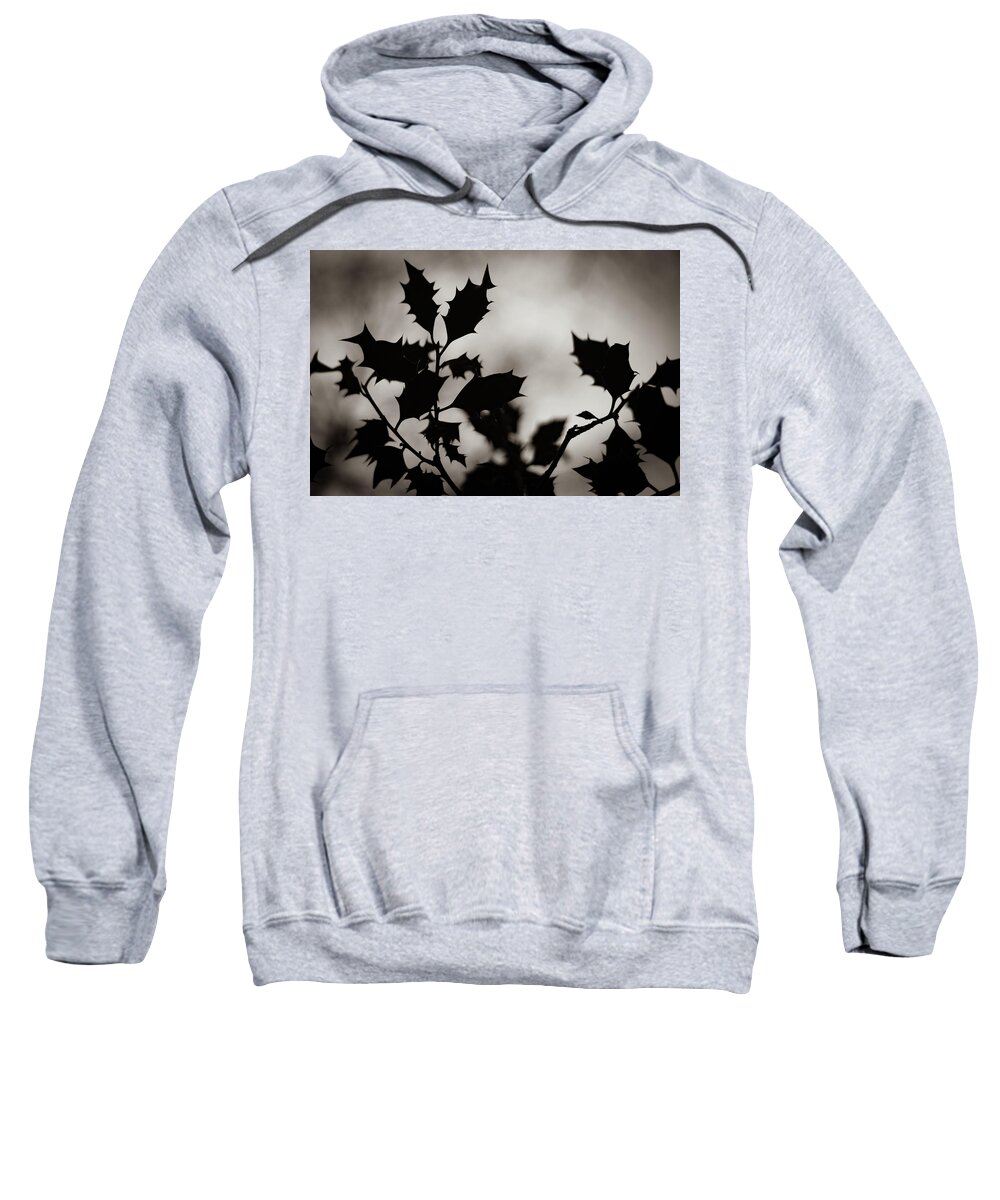 Holly Sweatshirt featuring the photograph Holly by Gavin Lewis