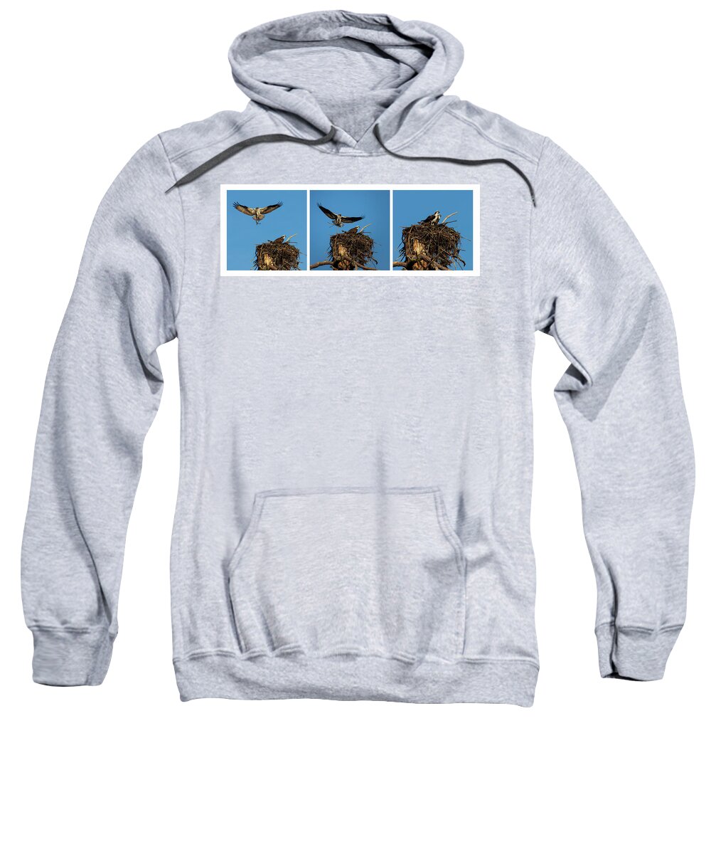 Nature Sweatshirt featuring the photograph Honey Do List Triptych by Mike Lee