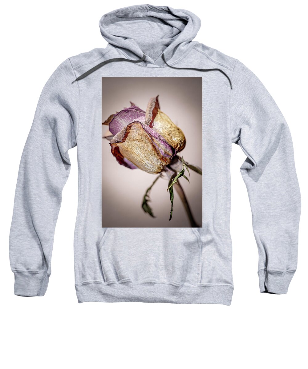 Rose Sweatshirt featuring the photograph Humble Faded Lilac Rose_Faded Beauty by AS MemoriesLiveOn