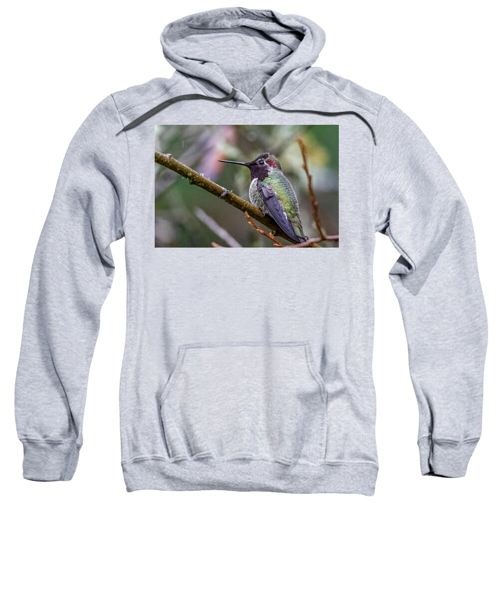 Hummer In The Rain Sweatshirt featuring the photograph Hummer in the Rain by Timothy Anable