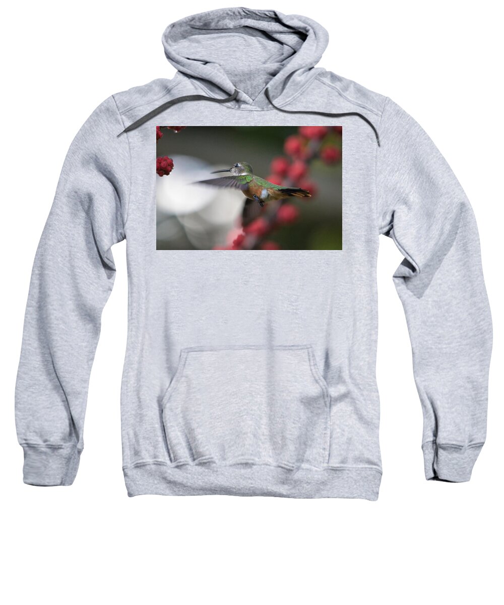 Hummingbird Sweatshirt featuring the photograph Humming Bird between flowers by Montez Kerr