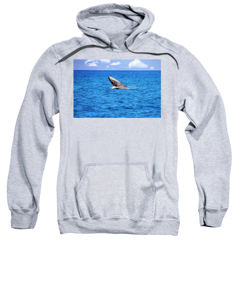 Humpback Sweatshirt featuring the photograph Humpback Breach by Anthony Jones