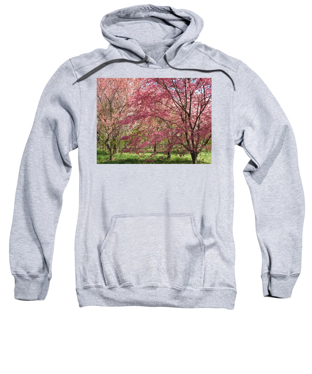 National Arboretum Sweatshirt featuring the photograph Hybrid Cherry Blossoms by Valerie Brown