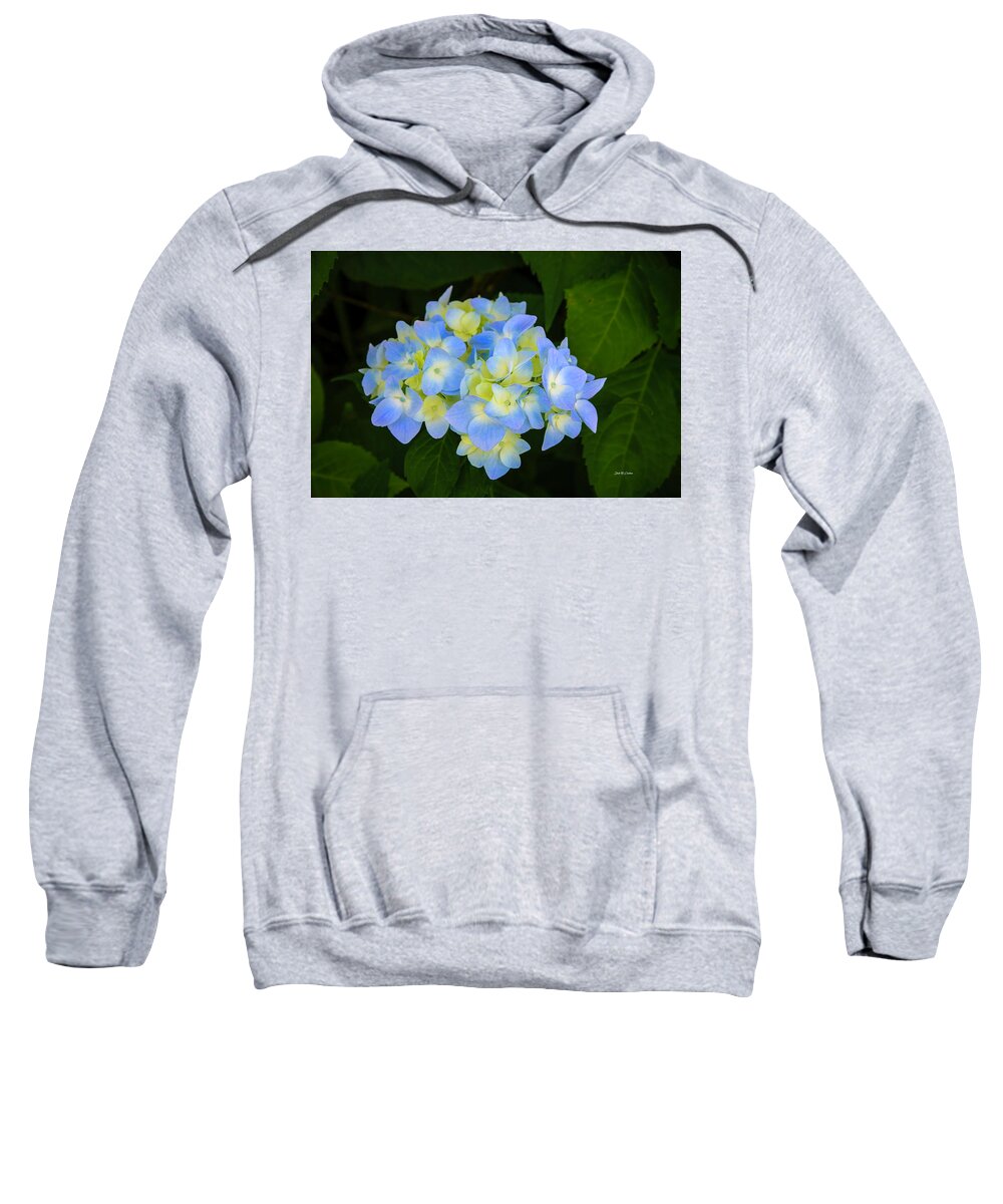 Hydrangea Sweatshirt featuring the photograph Hydrangea Glow by Dale R Carlson