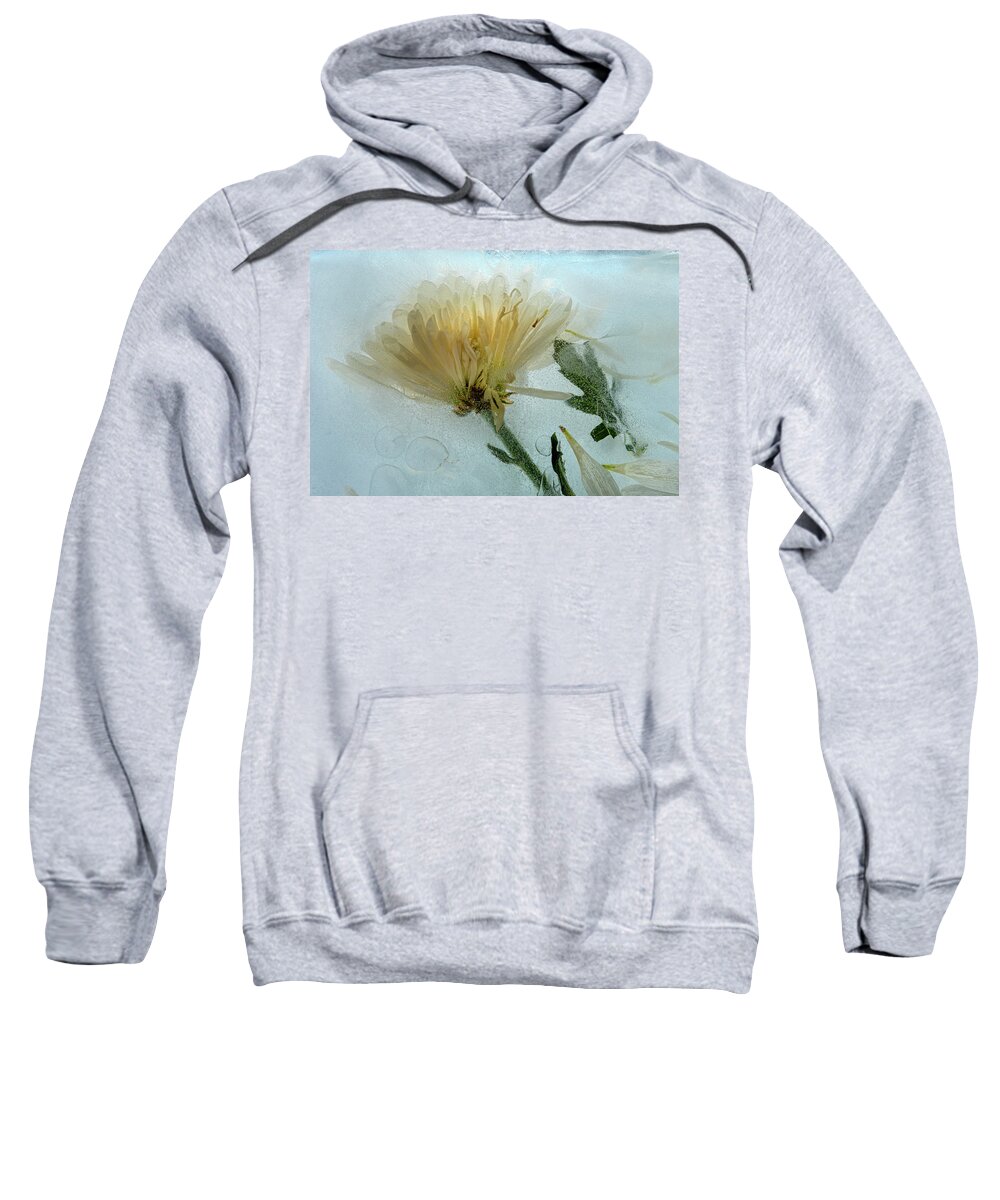 Flora Sweatshirt featuring the photograph Ice Flower Number 1 by Mary Lee Dereske
