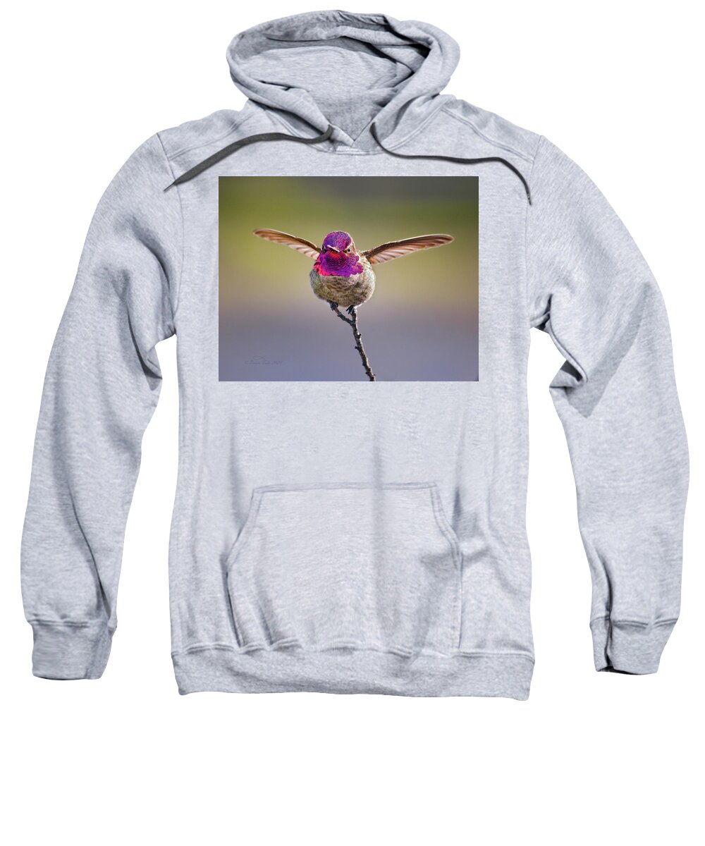 Anna's Hummingbird Sweatshirt featuring the photograph I'm Gonna Stick This Landing by Brian Tada