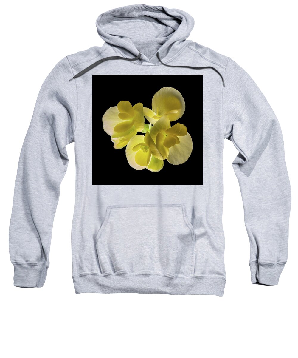 Backlight Sweatshirt featuring the photograph In Search Of by Kevin Suttlehan