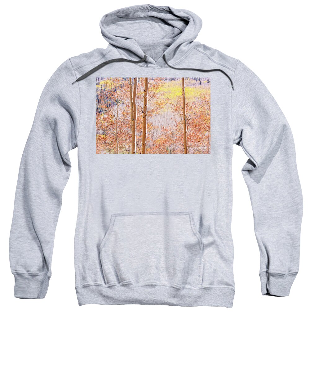 Landscapes Sweatshirt featuring the photograph Inspired Beauty by Roselynne Broussard