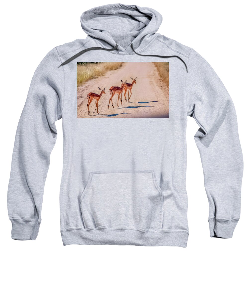 South Africa Sweatshirt featuring the photograph Intrepid Trio in Kruger National Park by Marcy Wielfaert